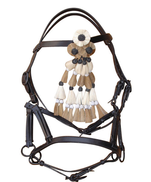 SIDE-PULL-BRIDLE-WITH-HAIR-HANGING