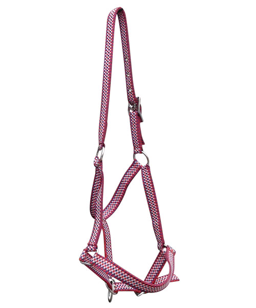 NYLON-HALTER-WITH-ROLLER-BUCKLE