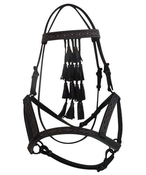 REPUKHARA-SIDE-PULL-BRIDLE